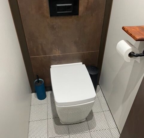 Commercial Washroom Cleaning Services - Toilet